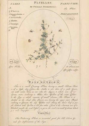 Reproducción/Reproduction 49787531783: Botanicum medicinale :. London :Printed for J. Millan, opposite the Admiralty, Whitehall,[1768?]. 