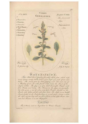 Reproducción/Reproduction 49788392867: Botanicum medicinale :. London :Printed for J. Millan, opposite the Admiralty, Whitehall,[1768?]. 
