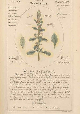 Reproducción/Reproduction 49788392867: Botanicum medicinale :. London :Printed for J. Millan, opposite the Admiralty, Whitehall,[1768?]. 