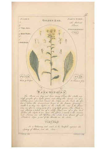Reproducción/Reproduction 49787532133: Botanicum medicinale :. London :Printed for J. Millan, opposite the Admiralty, Whitehall,[1768?]. 