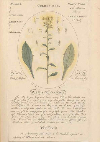 Reproducción/Reproduction 49787532133: Botanicum medicinale :. London :Printed for J. Millan, opposite the Admiralty, Whitehall,[1768?]. 