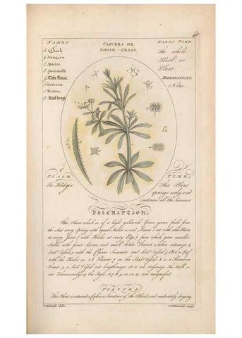 Reproducción/Reproduction 49787532278: Botanicum medicinale :. London :Printed for J. Millan, opposite the Admiralty, Whitehall,[1768?]. 