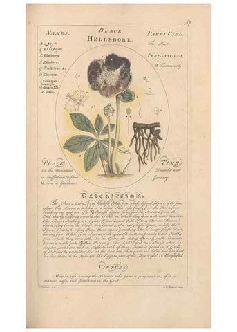 Reproducción/Reproduction 49788073031: Botanicum medicinale :. London :Printed for J. Millan, opposite the Admiralty, Whitehall,[1768?]. 