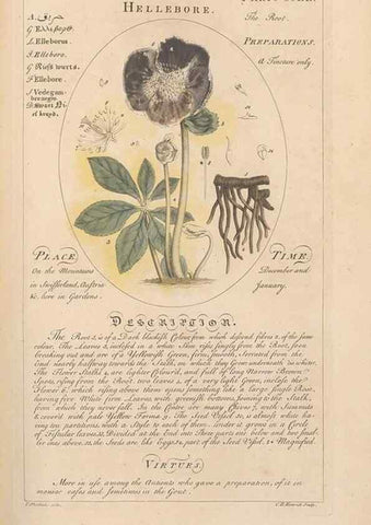 Reproducción/Reproduction 49788073031: Botanicum medicinale :. London :Printed for J. Millan, opposite the Admiralty, Whitehall,[1768?]. 