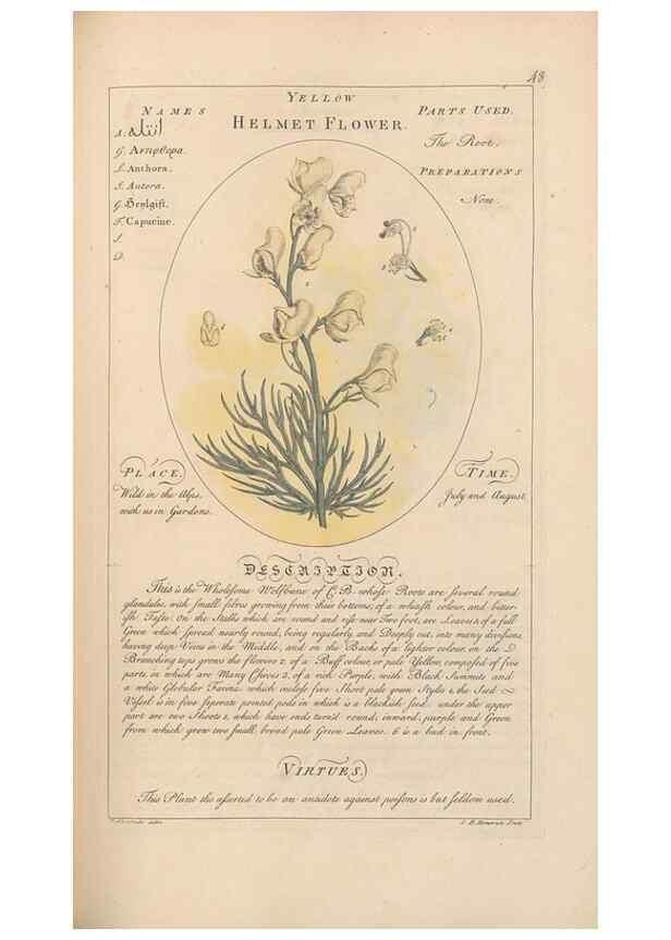 Reproducción/Reproduction 49787532808: Botanicum medicinale :. London :Printed for J. Millan, opposite the Admiralty, Whitehall,[1768?]. 