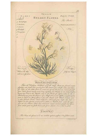 Reproducción/Reproduction 49787532808: Botanicum medicinale :. London :Printed for J. Millan, opposite the Admiralty, Whitehall,[1768?]. 