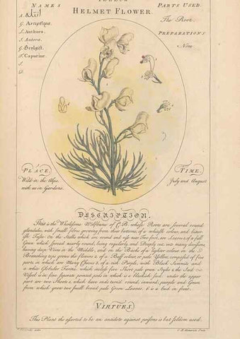 Reproducción/Reproduction 49787532808: Botanicum medicinale :. London :Printed for J. Millan, opposite the Admiralty, Whitehall,[1768?]. 