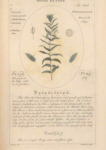 Reproducción/Reproduction 49788394537: Botanicum medicinale :. London :Printed for J. Millan, opposite the Admiralty, Whitehall,[1768?]. 