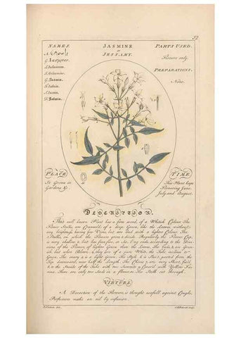 Reproducción/Reproduction 49788074316: Botanicum medicinale :. London :Printed for J. Millan, opposite the Admiralty, Whitehall,[1768?]. 