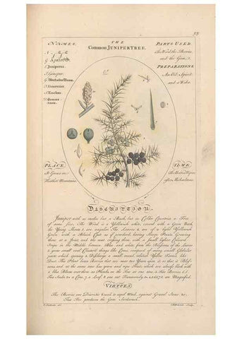 Reproducción/Reproduction 49788394932: Botanicum medicinale :. London :Printed for J. Millan, opposite the Admiralty, Whitehall,[1768?]. 