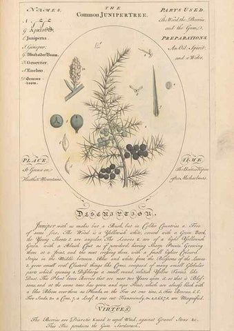 Reproducción/Reproduction 49788394932: Botanicum medicinale :. London :Printed for J. Millan, opposite the Admiralty, Whitehall,[1768?]. 