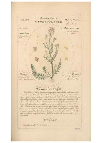 Reproducción/Reproduction 49788395382: Botanicum medicinale :. London :Printed for J. Millan, opposite the Admiralty, Whitehall,[1768?]. 