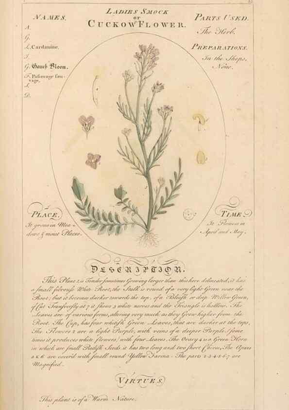 Reproducción/Reproduction 49788395382: Botanicum medicinale :. London :Printed for J. Millan, opposite the Admiralty, Whitehall,[1768?]. 