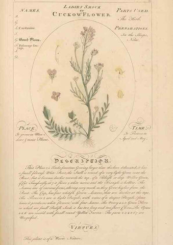 Reproducción/Reproduction 49788395382: Botanicum medicinale :. London :Printed for J. Millan, opposite the Admiralty, Whitehall,[1768?]. 