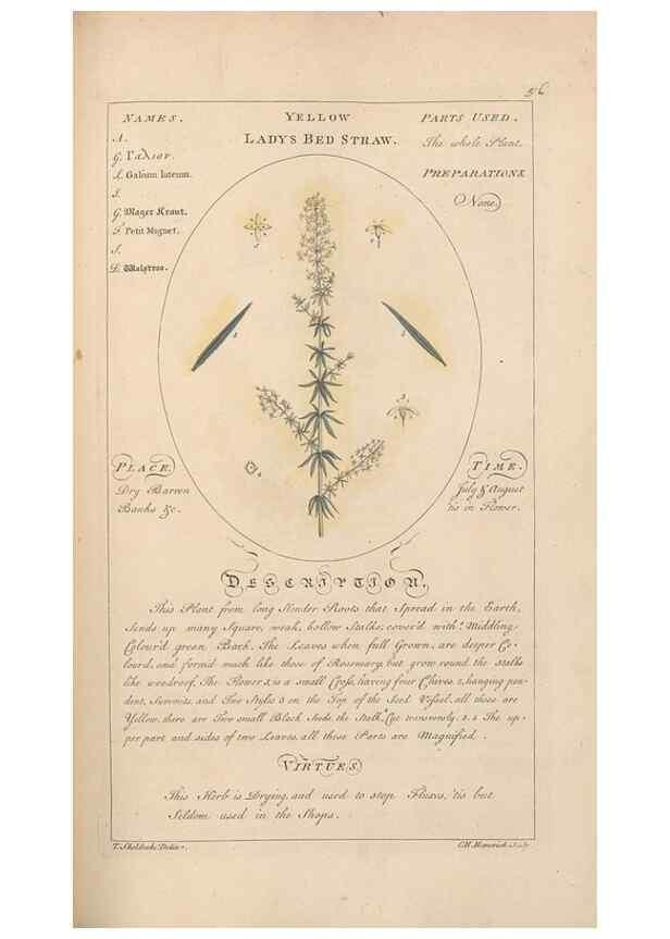 Reproducción/Reproduction 49788075111: Botanicum medicinale :. London :Printed for J. Millan, opposite the Admiralty, Whitehall,[1768?]. 