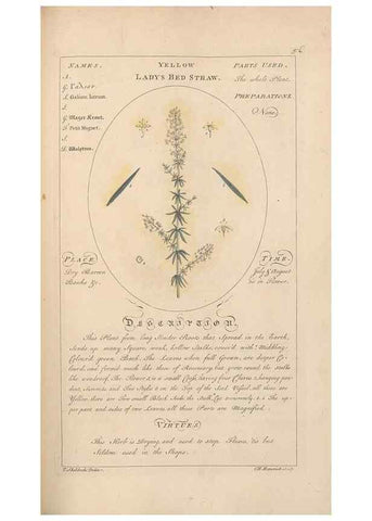 Reproducción/Reproduction 49788075111: Botanicum medicinale :. London :Printed for J. Millan, opposite the Admiralty, Whitehall,[1768?]. 