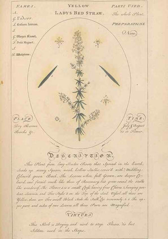 Reproducción/Reproduction 49788075111: Botanicum medicinale :. London :Printed for J. Millan, opposite the Admiralty, Whitehall,[1768?]. 