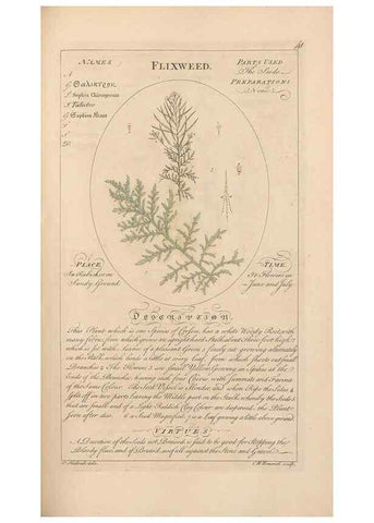 Reproducción/Reproduction 49788392482: Botanicum medicinale :. London :Printed for J. Millan, opposite the Admiralty, Whitehall,[1768?]. 