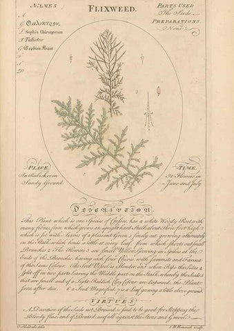 Reproducción/Reproduction 49788392482: Botanicum medicinale :. London :Printed for J. Millan, opposite the Admiralty, Whitehall,[1768?]. 