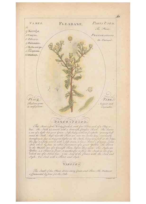 Reproducción/Reproduction 49788392272: Botanicum medicinale :. London :Printed for J. Millan, opposite the Admiralty, Whitehall,[1768?]. 