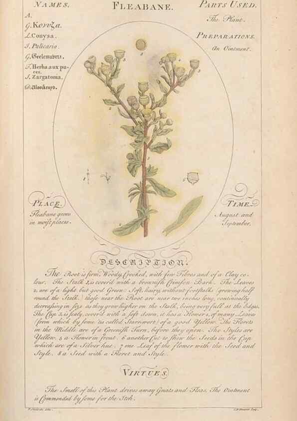 Reproducción/Reproduction 49788392272: Botanicum medicinale :. London :Printed for J. Millan, opposite the Admiralty, Whitehall,[1768?]. 