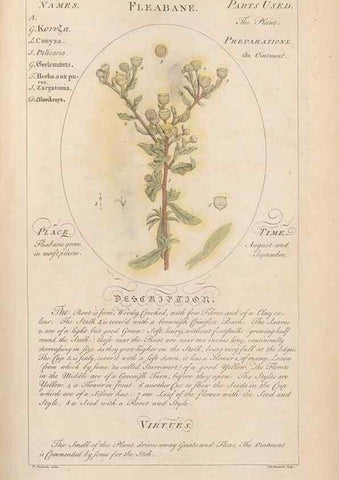 Reproducción/Reproduction 49788392272: Botanicum medicinale :. London :Printed for J. Millan, opposite the Admiralty, Whitehall,[1768?]. 