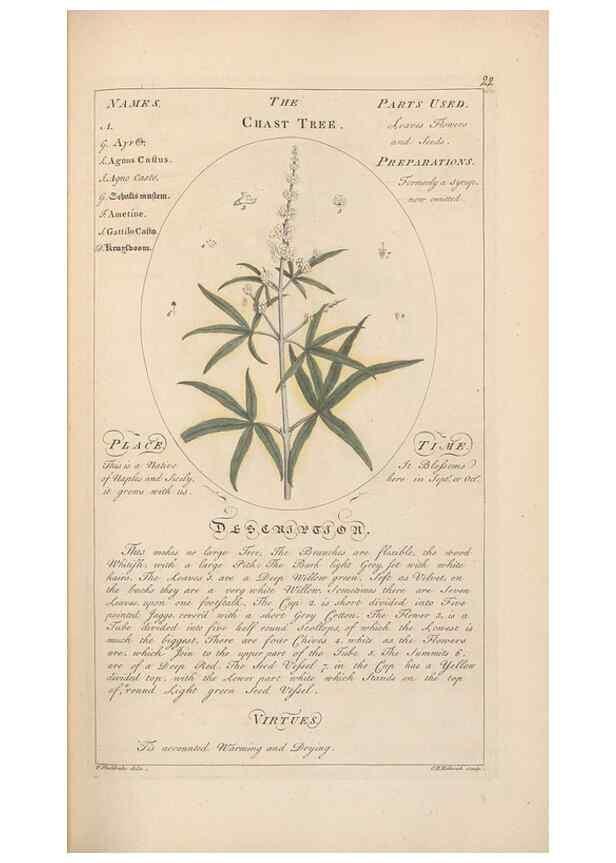 Reproducción/Reproduction 49788067961: Botanicum medicinale :. London :Printed for J. Millan, opposite the Admiralty, Whitehall,[1768?]. 
