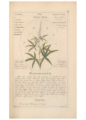 Reproducción/Reproduction 49788067961: Botanicum medicinale :. London :Printed for J. Millan, opposite the Admiralty, Whitehall,[1768?]. 