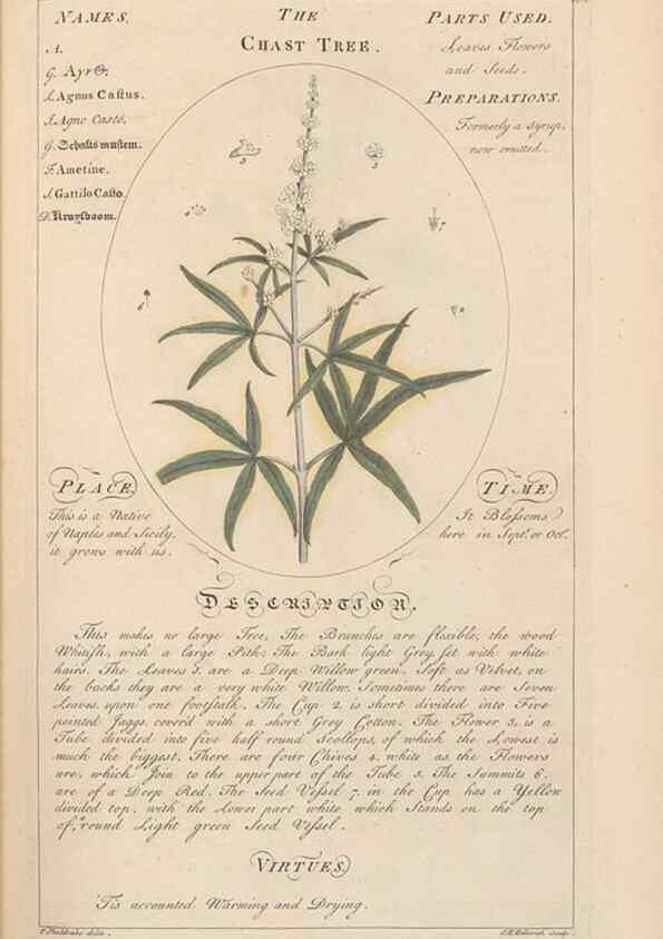 Reproducción/Reproduction 49788067961: Botanicum medicinale :. London :Printed for J. Millan, opposite the Admiralty, Whitehall,[1768?]. 