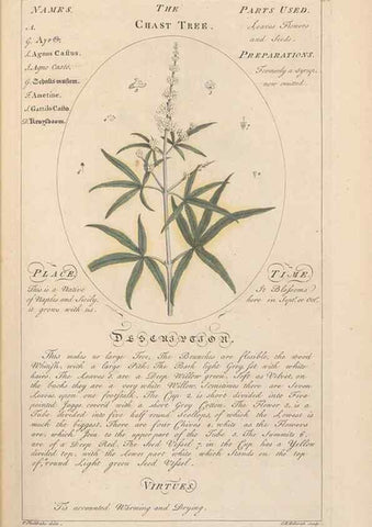 Reproducción/Reproduction 49788067961: Botanicum medicinale :. London :Printed for J. Millan, opposite the Admiralty, Whitehall,[1768?]. 