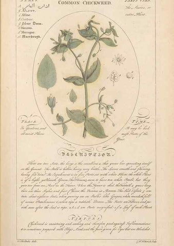 Reproducción/Reproduction 49787528038: Botanicum medicinale :. London :Printed for J. Millan, opposite the Admiralty, Whitehall,[1768?]. 