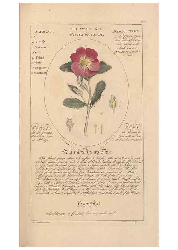 Reproducción/Reproduction 49787528358: Botanicum medicinale :. London :Printed for J. Millan, opposite the Admiralty, Whitehall,[1768?]. 