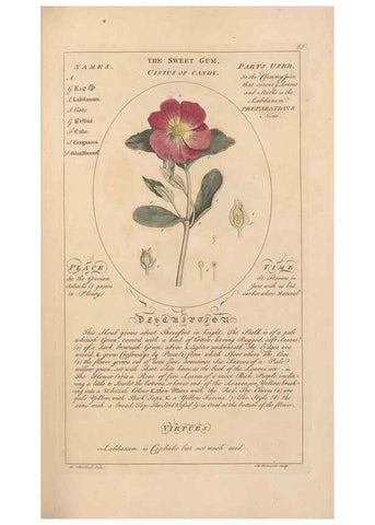 Reproducción/Reproduction 49787528358: Botanicum medicinale :. London :Printed for J. Millan, opposite the Admiralty, Whitehall,[1768?]. 