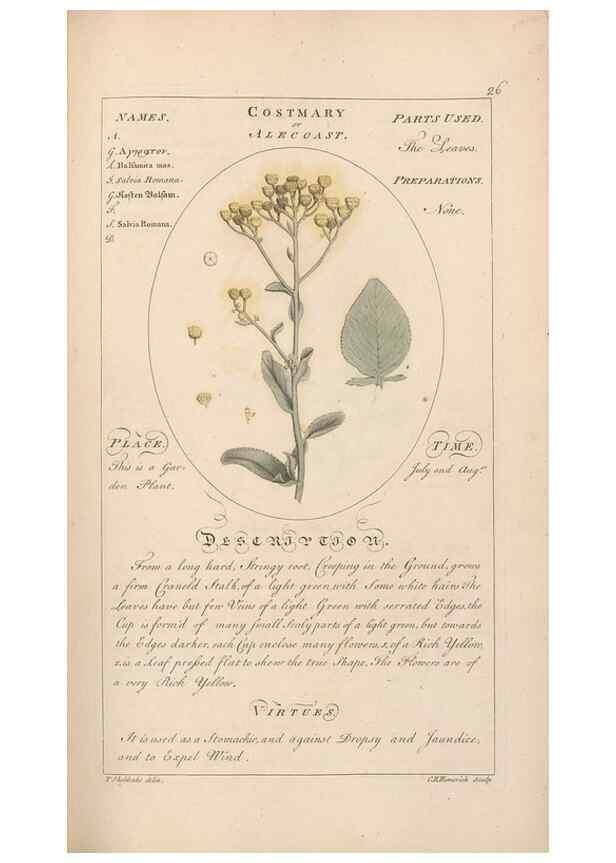 Reproducción/Reproduction 49788068946: Botanicum medicinale :. London :Printed for J. Millan, opposite the Admiralty, Whitehall,[1768?]. 