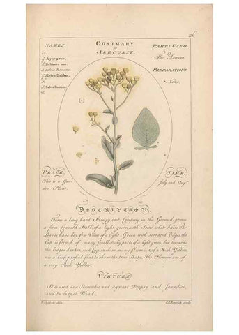 Reproducción/Reproduction 49788068946: Botanicum medicinale :. London :Printed for J. Millan, opposite the Admiralty, Whitehall,[1768?]. 