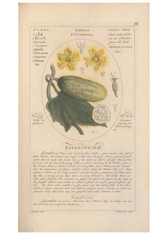 Reproducción/Reproduction 49787528953: Botanicum medicinale :. London :Printed for J. Millan, opposite the Admiralty, Whitehall,[1768?]. 