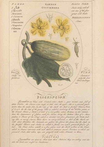 Reproducción/Reproduction 49787528953: Botanicum medicinale :. London :Printed for J. Millan, opposite the Admiralty, Whitehall,[1768?]. 