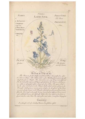 Reproducción/Reproduction 49788075326: Botanicum medicinale :. London :Printed for J. Millan, opposite the Admiralty, Whitehall,[1768?]. 