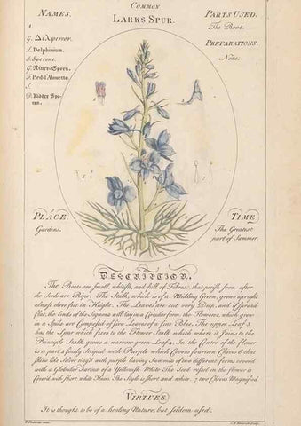 Reproducción/Reproduction 49788075326: Botanicum medicinale :. London :Printed for J. Millan, opposite the Admiralty, Whitehall,[1768?]. 