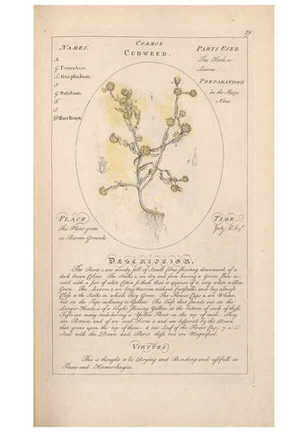 Reproducción/Reproduction 49787529158: Botanicum medicinale :. London :Printed for J. Millan, opposite the Admiralty, Whitehall,[1768?]. 