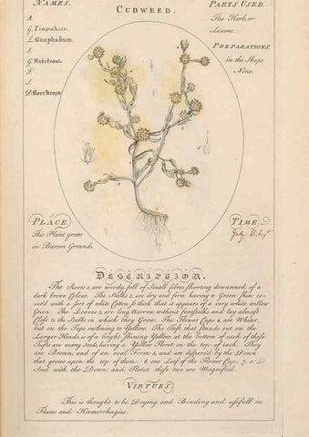 Reproducción/Reproduction 49787529158: Botanicum medicinale :. London :Printed for J. Millan, opposite the Admiralty, Whitehall,[1768?]. 