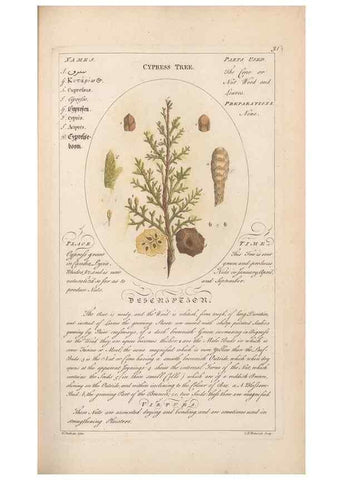 Reproducción/Reproduction 49788390292: Botanicum medicinale :. London :Printed for J. Millan, opposite the Admiralty, Whitehall,[1768?]. 