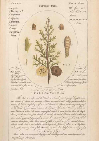 Reproducción/Reproduction 49788390292: Botanicum medicinale :. London :Printed for J. Millan, opposite the Admiralty, Whitehall,[1768?]. 