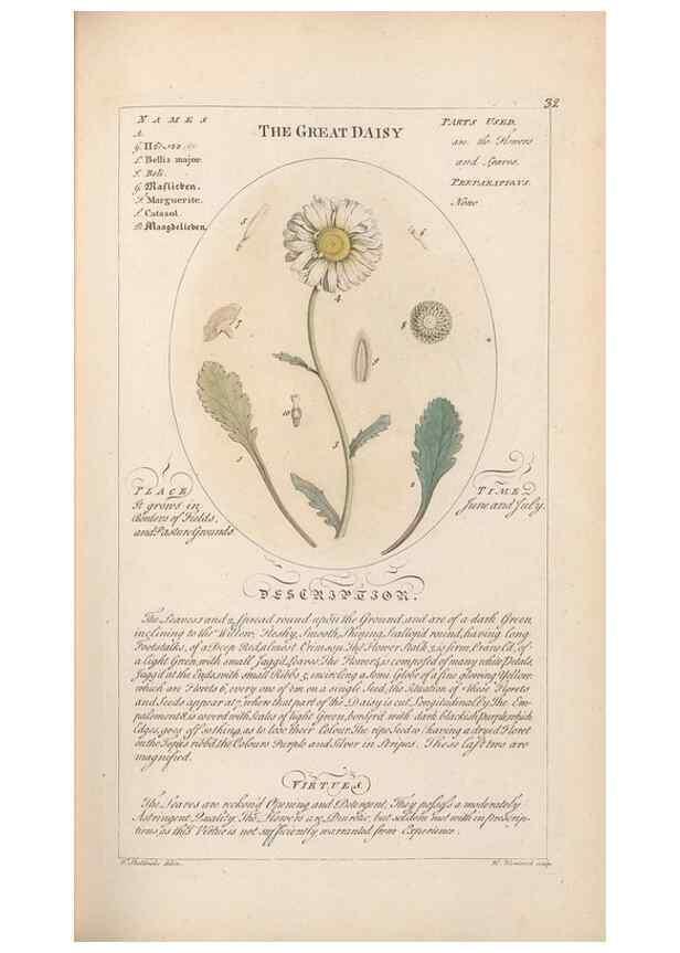Reproducción/Reproduction 49788390532: Botanicum medicinale :. London :Printed for J. Millan, opposite the Admiralty, Whitehall,[1768?]. 