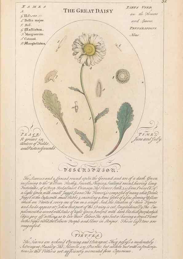 Reproducción/Reproduction 49788390532: Botanicum medicinale :. London :Printed for J. Millan, opposite the Admiralty, Whitehall,[1768?]. 