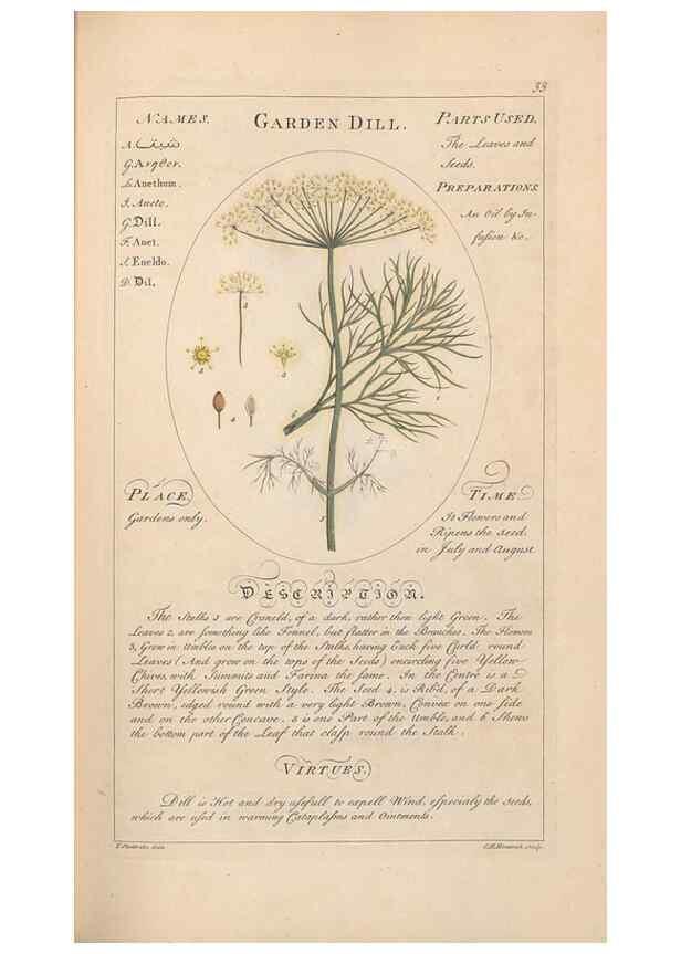 Reproducción/Reproduction 49788070471: Botanicum medicinale :. London :Printed for J. Millan, opposite the Admiralty, Whitehall,[1768?]. 