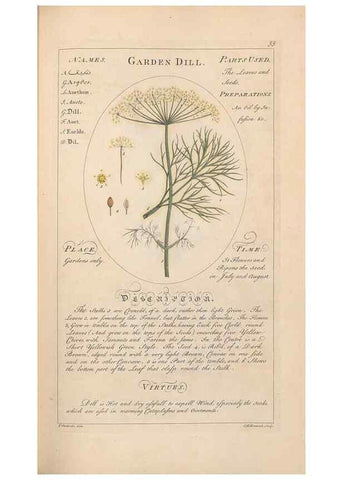 Reproducción/Reproduction 49788070471: Botanicum medicinale :. London :Printed for J. Millan, opposite the Admiralty, Whitehall,[1768?]. 