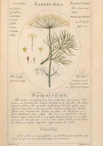 Reproducción/Reproduction 49788070471: Botanicum medicinale :. London :Printed for J. Millan, opposite the Admiralty, Whitehall,[1768?]. 
