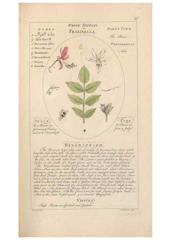 Reproducción/Reproduction 49788391272: Botanicum medicinale :. London :Printed for J. Millan, opposite the Admiralty, Whitehall,[1768?]. 