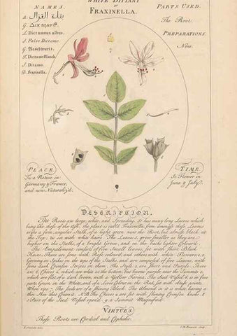 Reproducción/Reproduction 49788391272: Botanicum medicinale :. London :Printed for J. Millan, opposite the Admiralty, Whitehall,[1768?]. 